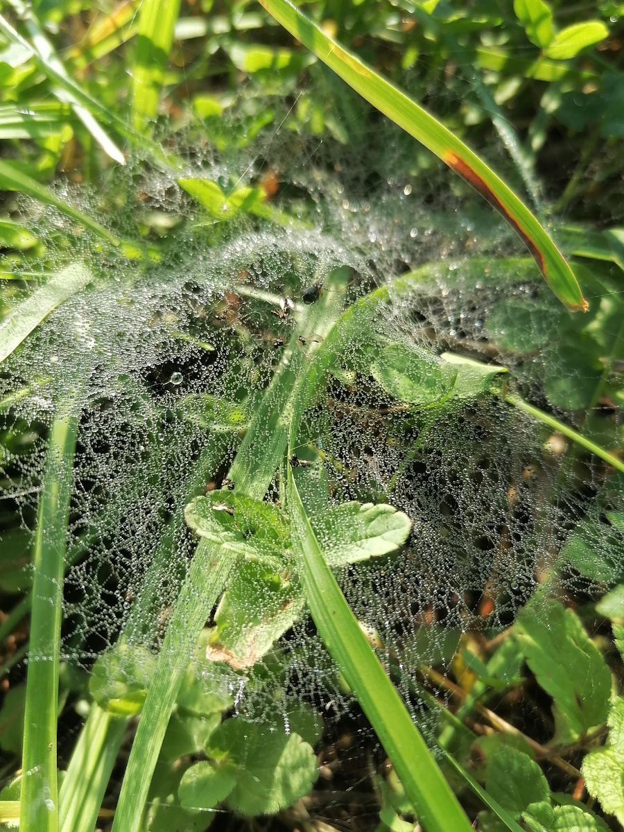 Авторское фото 