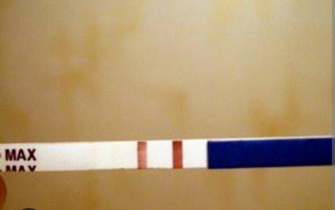 Картинка взята из интернета