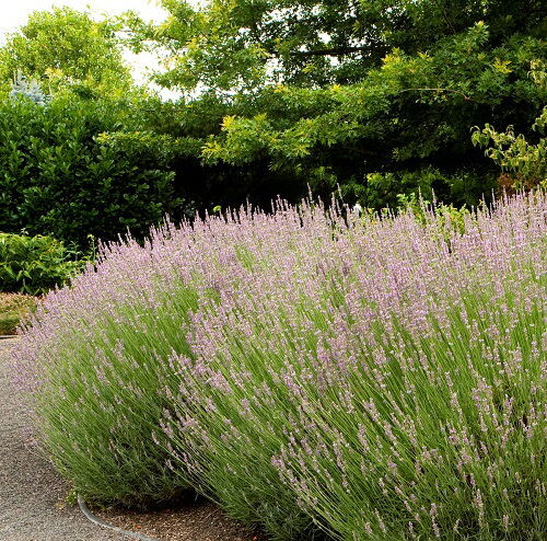 фото из открытого источника