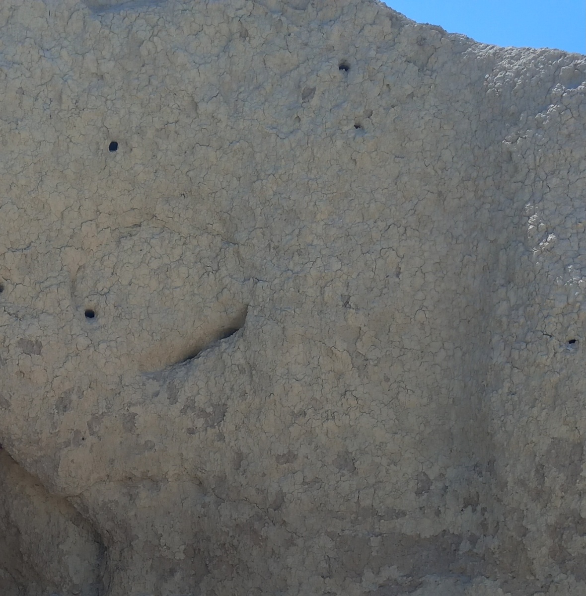 Круглые отверстия-гнезда ласточек . Фото автора