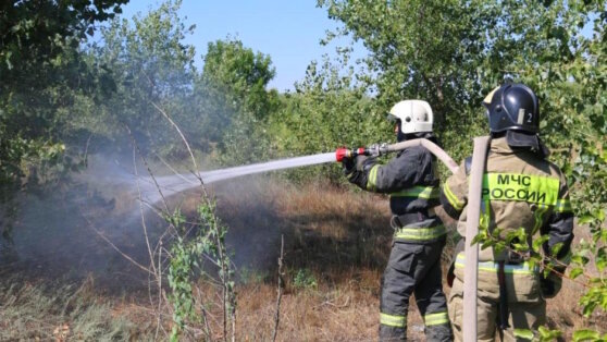    МЧС предупредило о высокой пожарной опасности в Подмосковье с 1 по 2 сентября Алина Городниченко