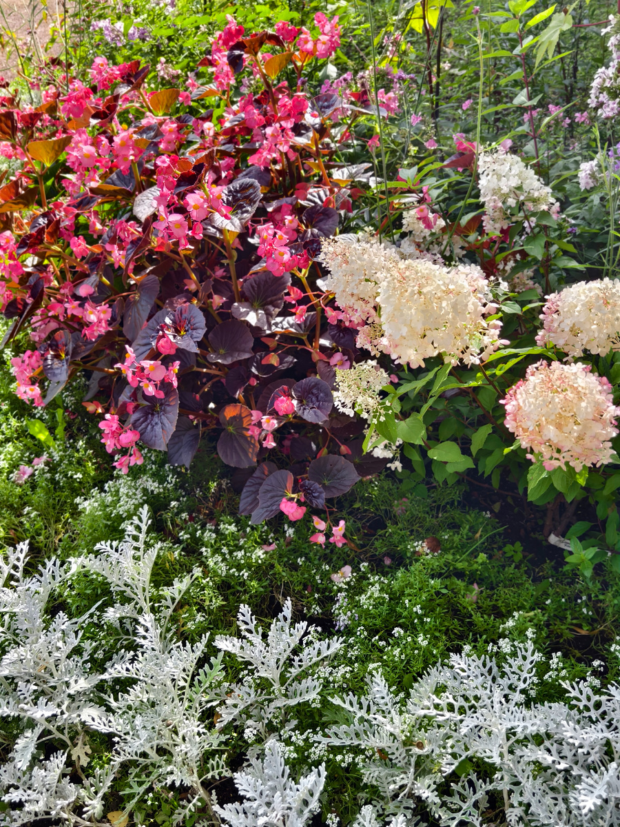 Садоводство Боде, фото из личного  архива 