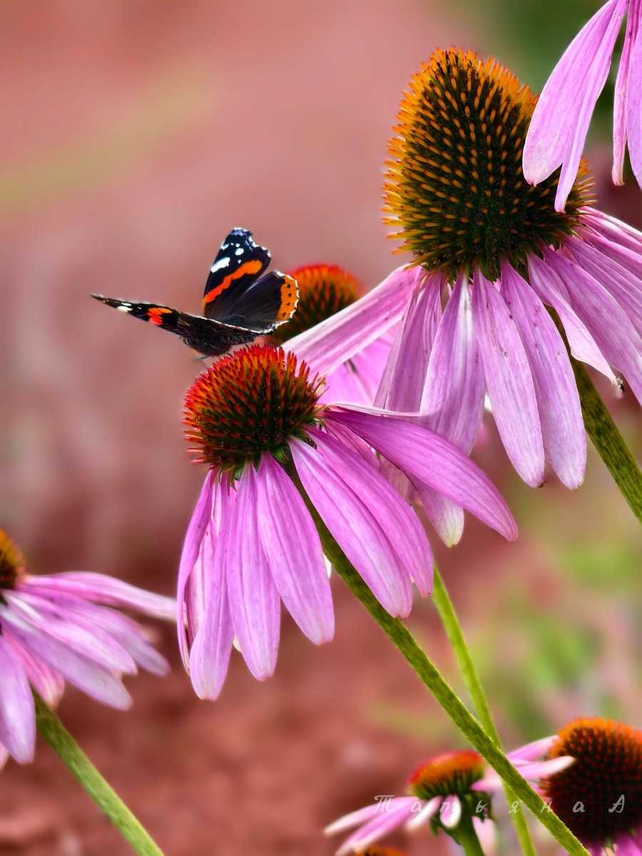 Фото из личного  архива 