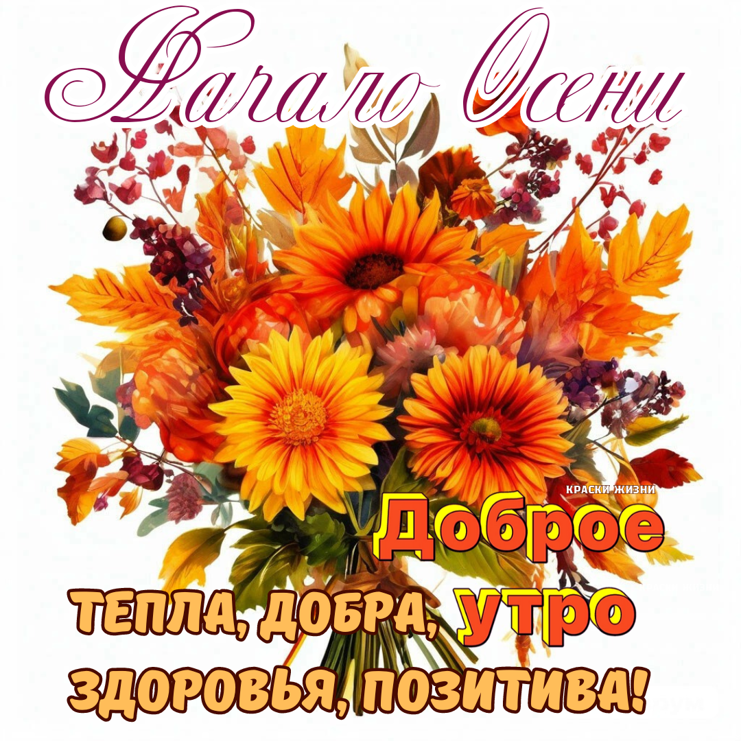Осень картинки красивые с пожеланиями