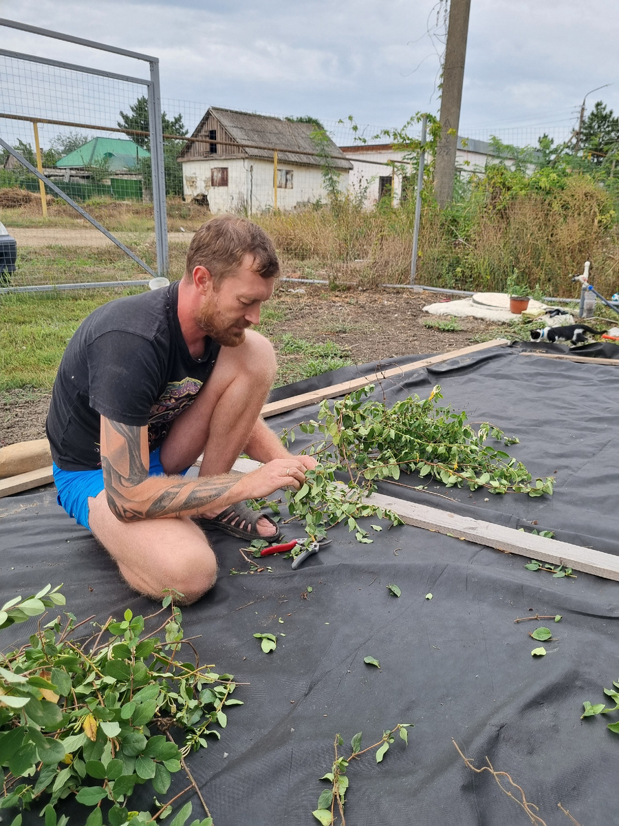 Веселье и задор