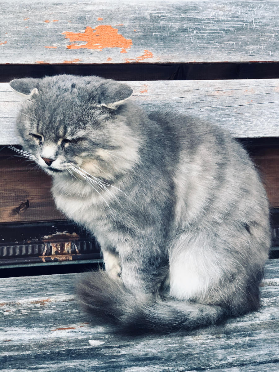 Хоспадя, как я устал! Везде фото автора.