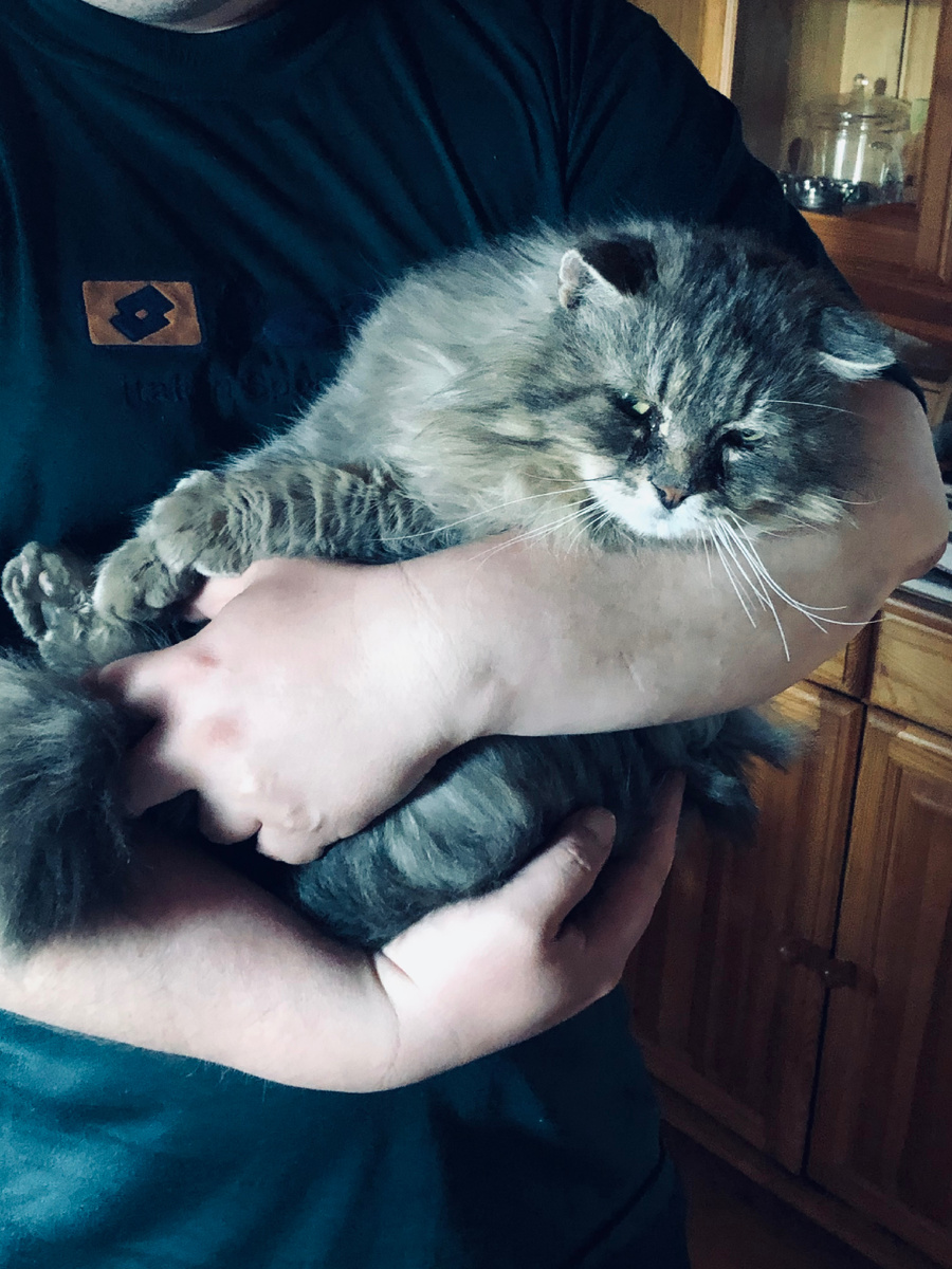 Хозяин, когда ты прекратишь это безобразие?