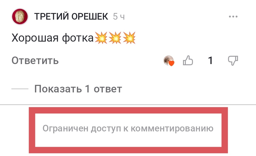 Вот так всё печально выглядит у автора. Не могу комментировать. А, так иногда хочется, аж руки чешутся и мурашки по коже. Все ищут мой комментарий в интернете. Просят написать ещё. Но, нет. 😢 Простите! 🙏