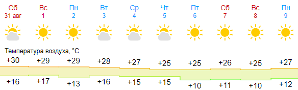 погода в Тульской области
