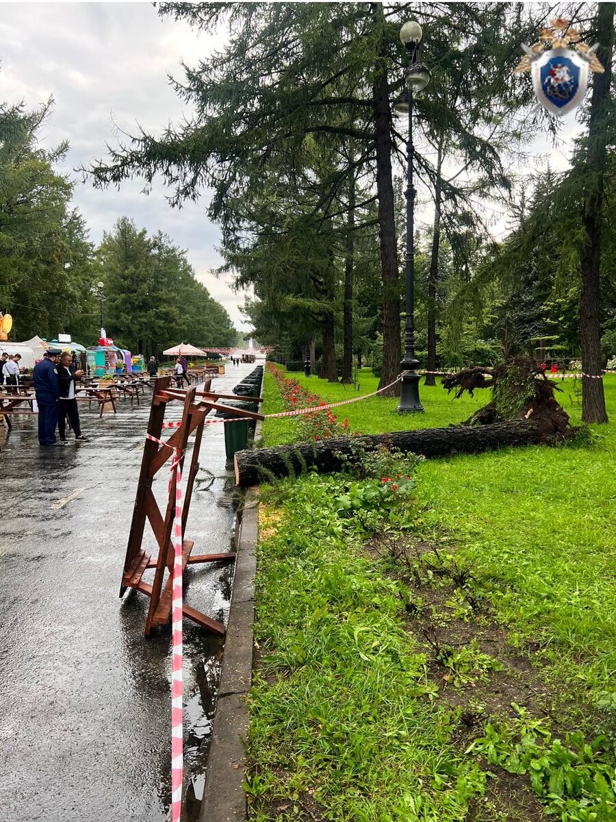 Посетителя парка в <b>Петербурге</b> <b>убила</b> упавшая лиственница.