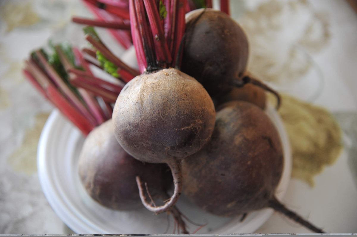 © Фото: ИД «Волгоградская правда» / архив