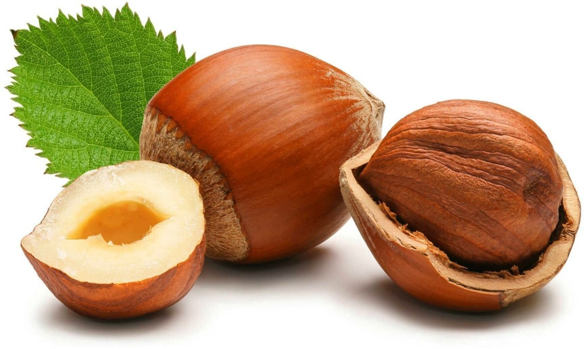 Лесной орех (лещина).