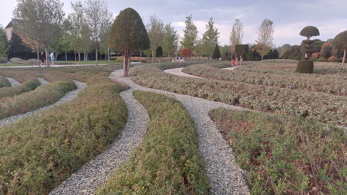 В жизни важно выбрать верную дорогу и оптимизировать время, тогда все получится)) Фото автора 