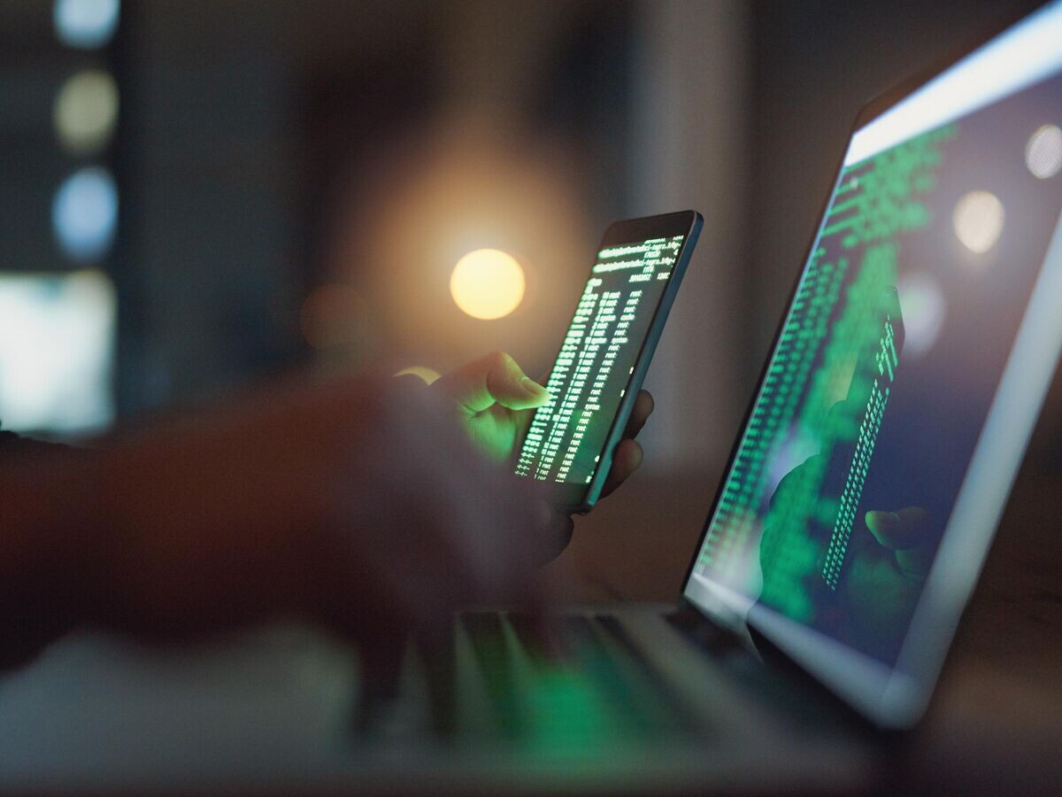    Программист за работой © iStock.com / PeopleImages