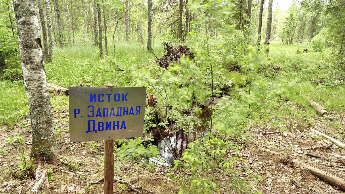 Исток Западной Двины. Фото с сайта https://www.drive2.ru/l/10402130/. Взято с Яндекс.Картинки