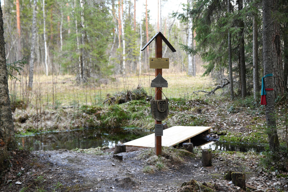 Исток Западной Двины. Фото с сайта https://tver.mk.ru/social/2021/04/23/v-tverskoy-oblasti-prodolzhat-blagoustraivat-istok-reki-zapadnaya-dvina.html. Взято с Яндекс.Картинки