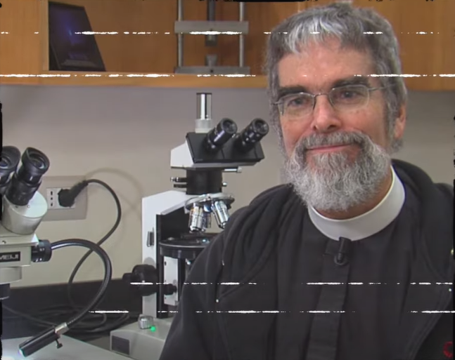 Изображение взято из открытого источника 