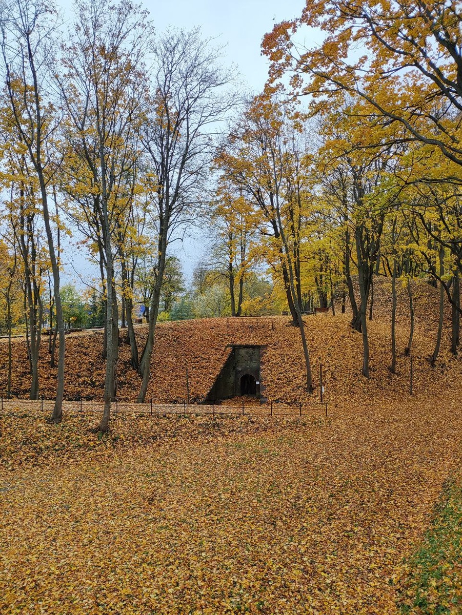 Золотая осень 