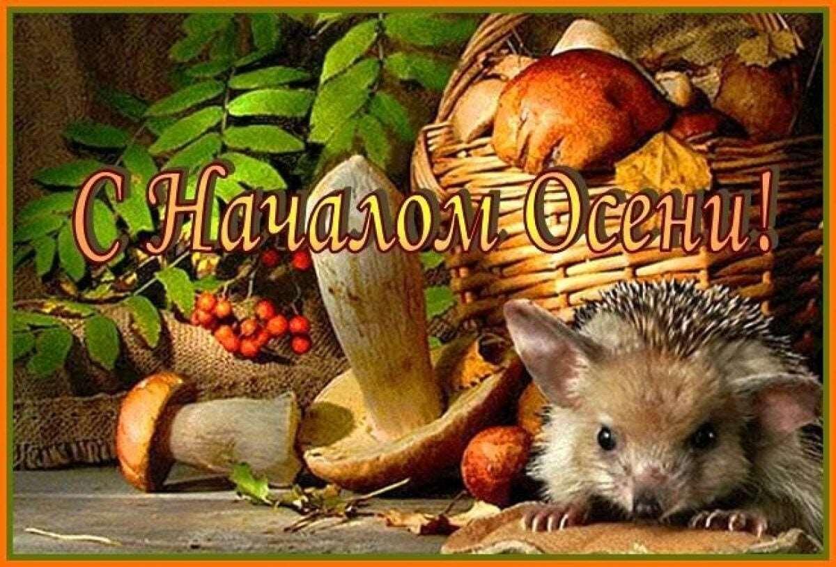 Осень поздравления. С первым осенним днем. Открытка шуточная с осенью. С началом осени картинки с юмором. Открытки здравствуй осень.