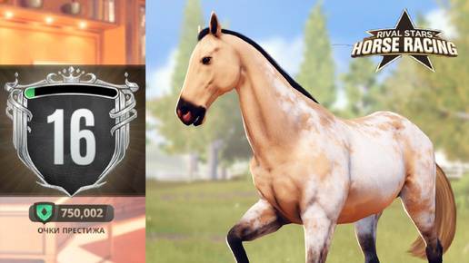 16 ПРЕСТИЖ, стипль чез и сложное задание Rival Stars Horse Racing