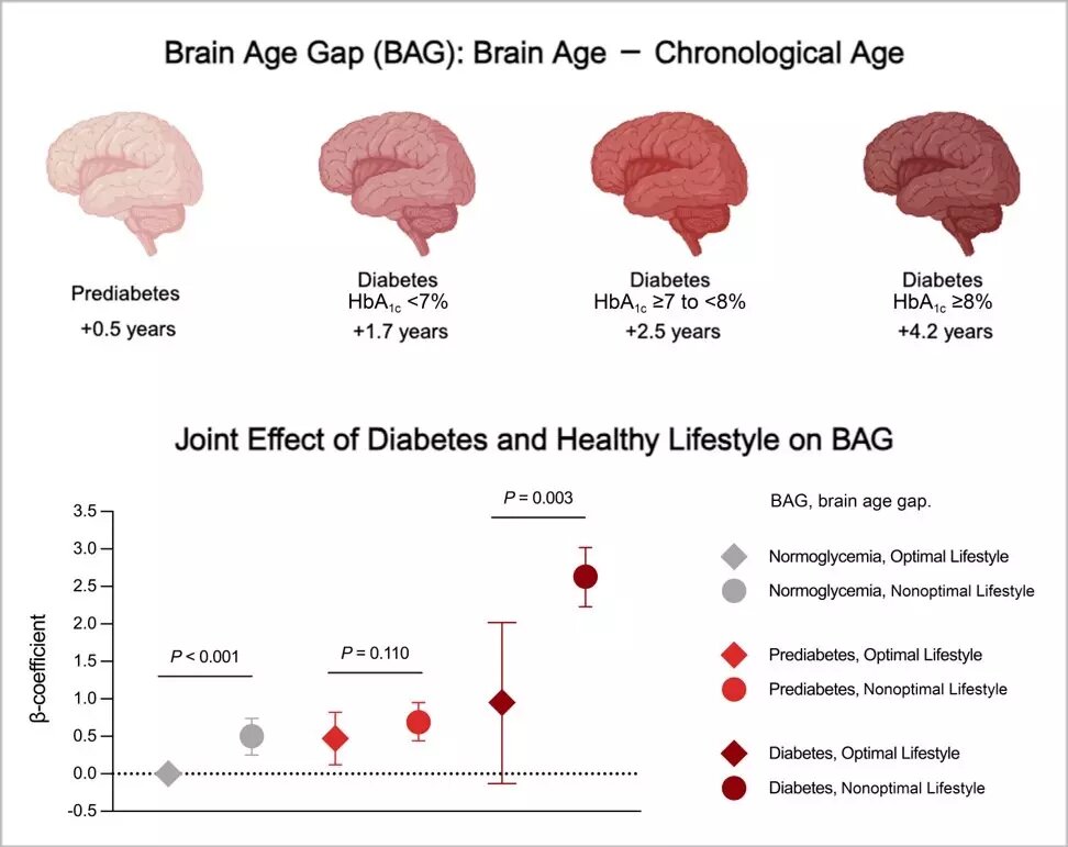     Автор: American Diabetes Association Источник: diabetesjournals.org