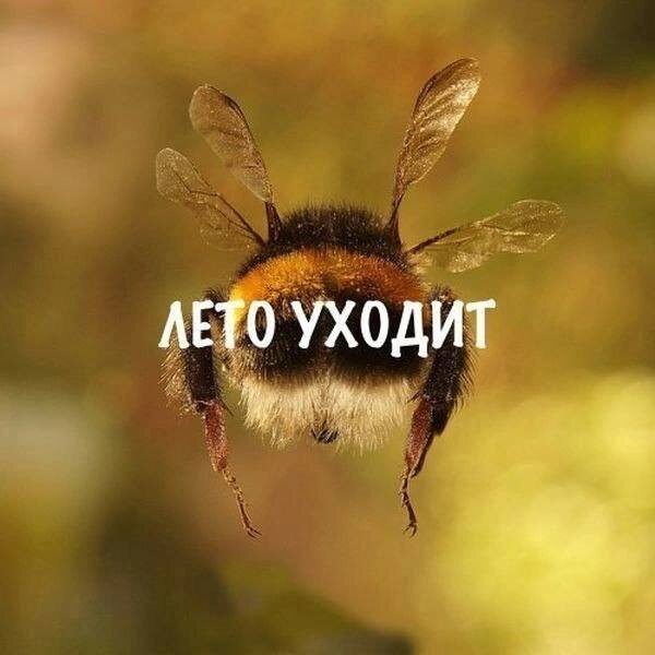 Август прошёл, и Слава Богу!