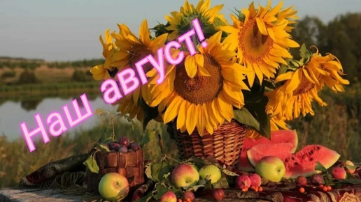 Отчет за август в СП 