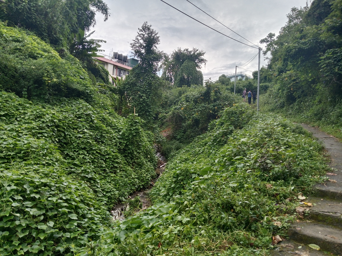 Разнообразный ландшафт Шилонга впечатляет
