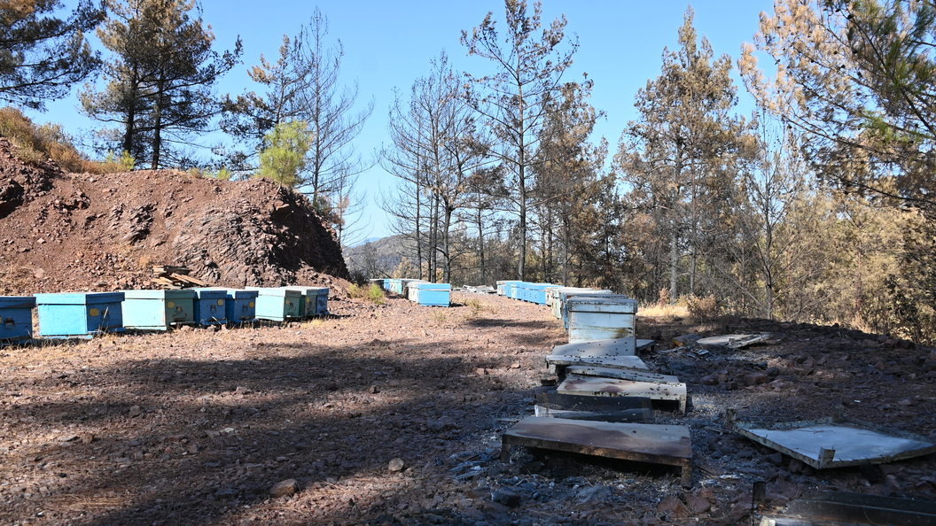    Фото: © Anne Pollmann/dpa/Globallookpress