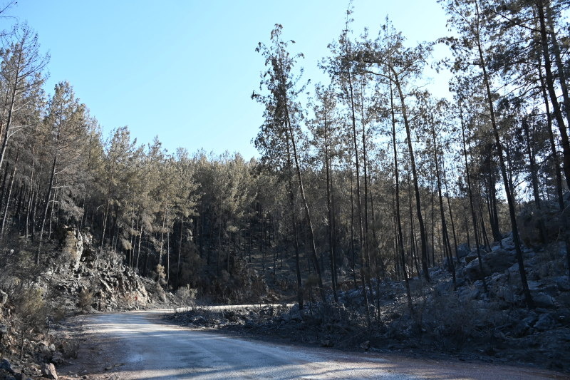    Фото: © Anne Pollmann/dpa/Globallookpress