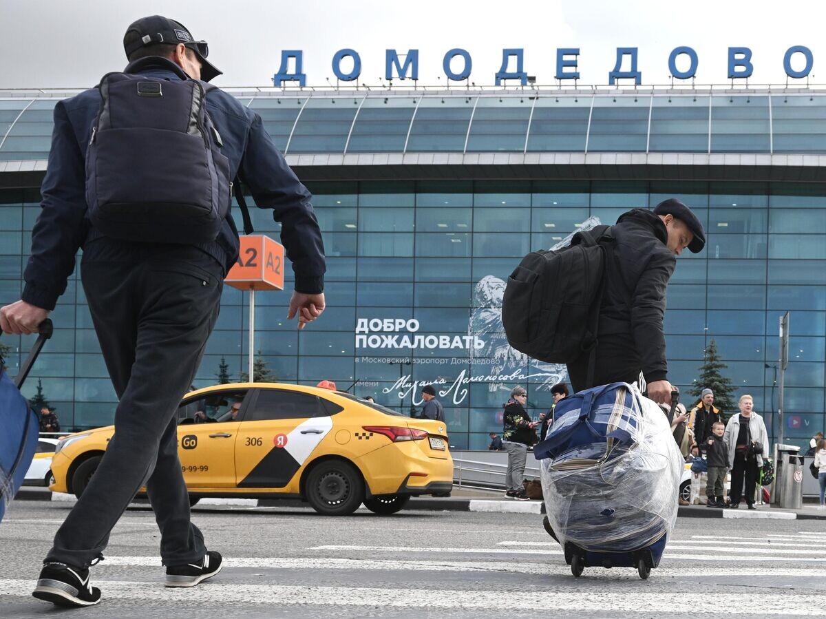    Пассажиры возле аэропорта Домодедово© РИА Новости / Кирилл Каллиников
