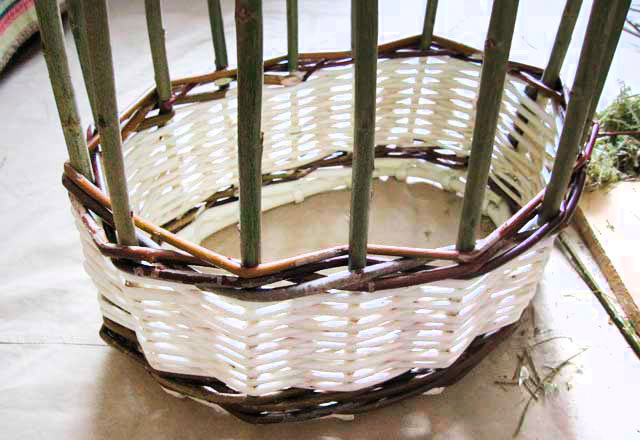 Процесс плетения корзинки из ивовой лозы, примерно половина процесса