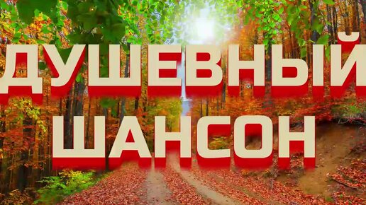 #228. 💎СЛУШАТЬ 🍁ДУШЕВНЫЙ РУССКИЙ ШАНСОН 2024 | РУССКИЙ ШАНСОН ДЛЯ ДУШИ 2024 | ШАНСОН 2024