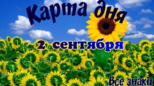 Карта дня🍀2 сентября 2024🌞Пасьянс.Тайм-код в описании🦢