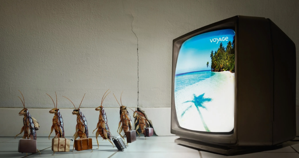 Тараканы идут работать 