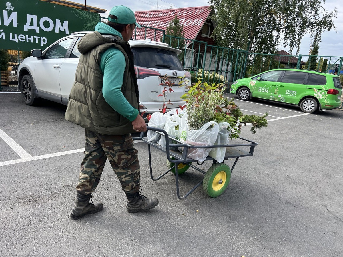 Сотрудник садового центра везет мои саженцы к машине