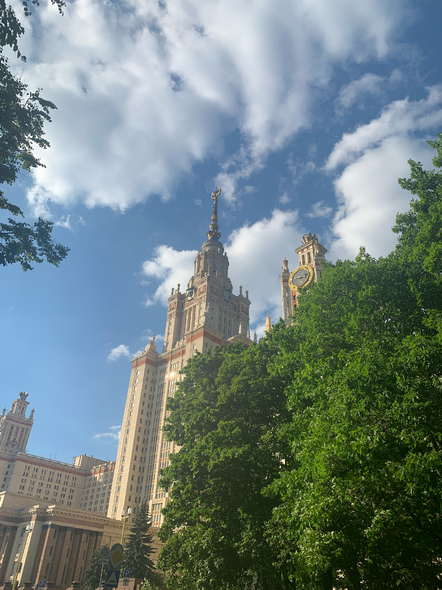 МГУ утопает в зелени. И это не аллегория, это сущая правда