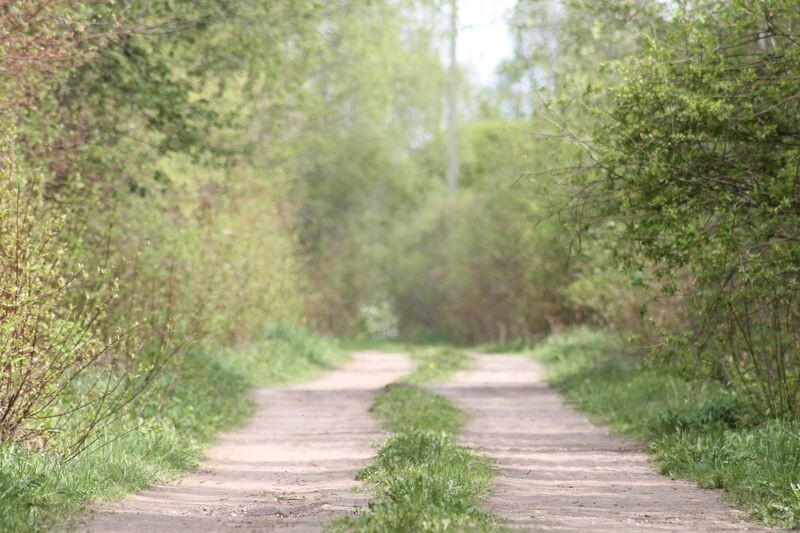 Наше лето 2024. Из неиздатого. Много фото