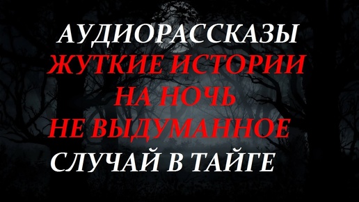 СТРАШНЫЕ ИСТОРИИ НА НОЧЬ-СЛУЧАЙ В ТАЙГЕ