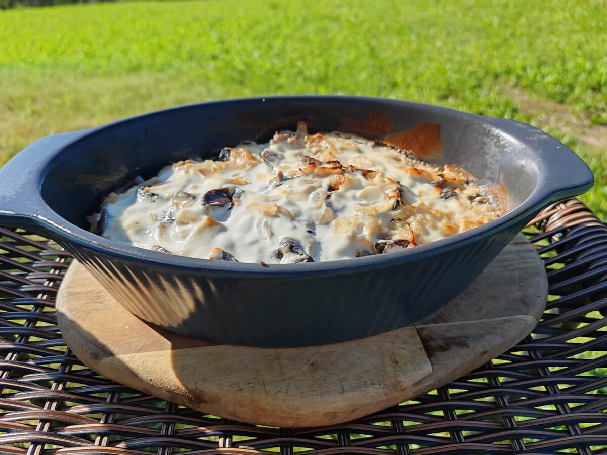 Наступил сезон грибов, используем их, как можно больше