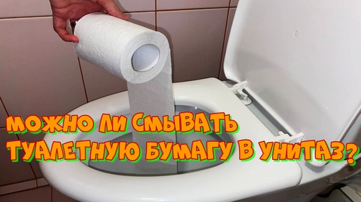 Что будет, если смыть туалетную бумагу в унитаз? (Эксперимент от Вани)