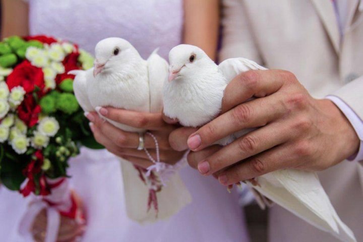 youla.ru