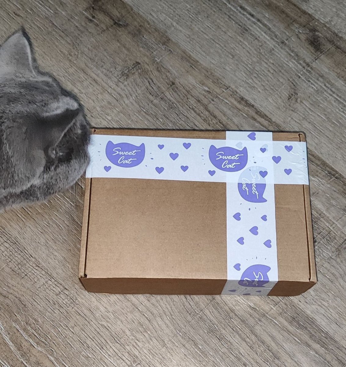 Боксы запечатанные и после вскрытия 