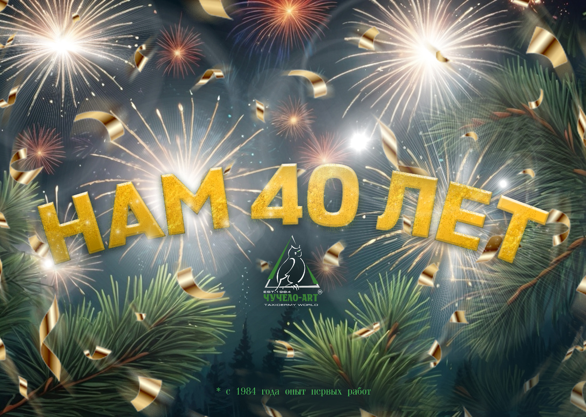 1 сентября 2024г. Нам 40 лет!
С 1984 года начал приобретаться опыт первых работ. Исполняется 40 лет с момента начала обучения нашему мастерству. За эти годы получены неоценимые знания и профессионализм, которые мы продолжаем совершенствовать.
