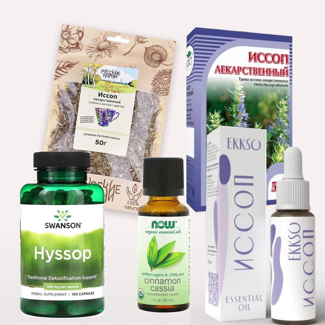 Применение иссопа лекарственного