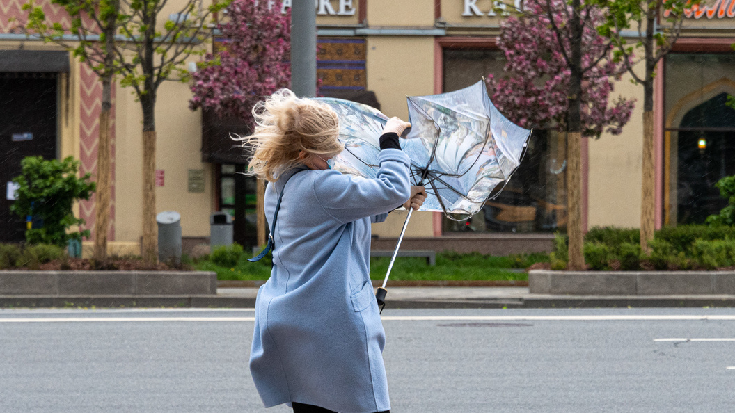    Фото: Komsomolskaya Pravda/Global Look Press