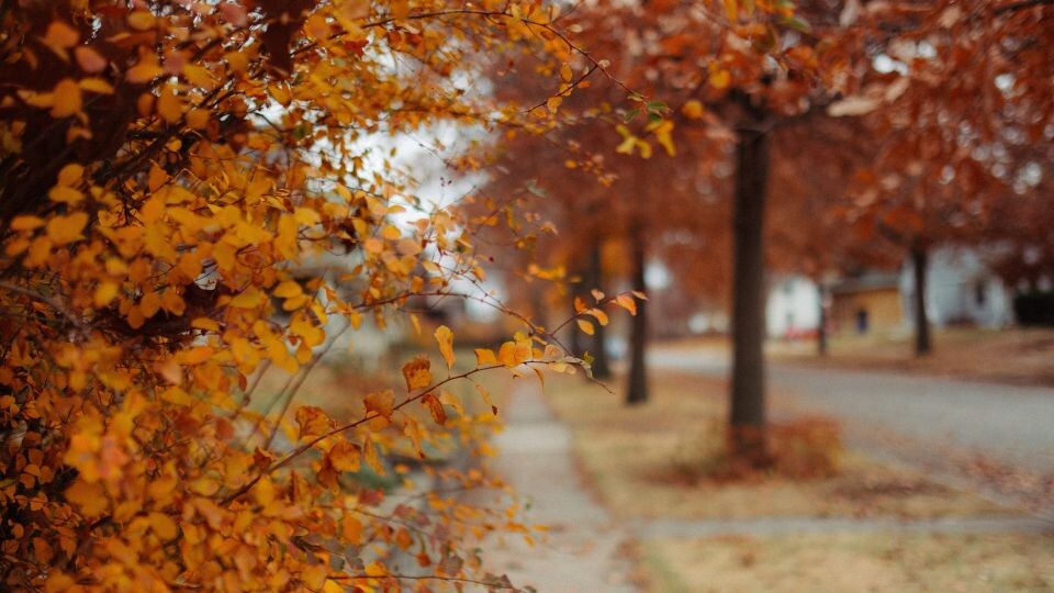    Осень, погода. Источник: unsplash.com