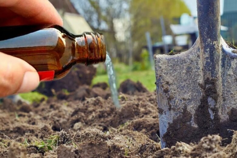 Обеззараживание грунта