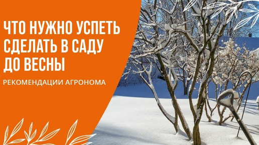 ЧТО НУЖНО УСПЕТЬ СДЕЛАТЬ В САДУ ДО ВЕСНЫ/ РЕКОМЕНДАЦИИ АГРОНОМА