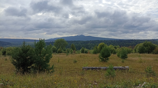 Помяненный (Колчимский) камень в Красновишерском районе Пермского края